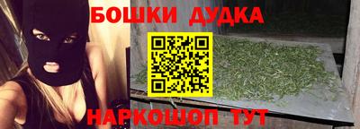 сатива Кандалакша