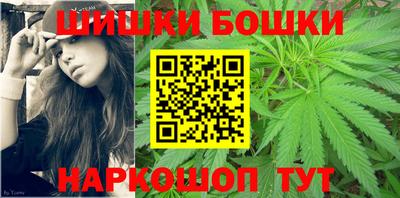 сатива Кандалакша
