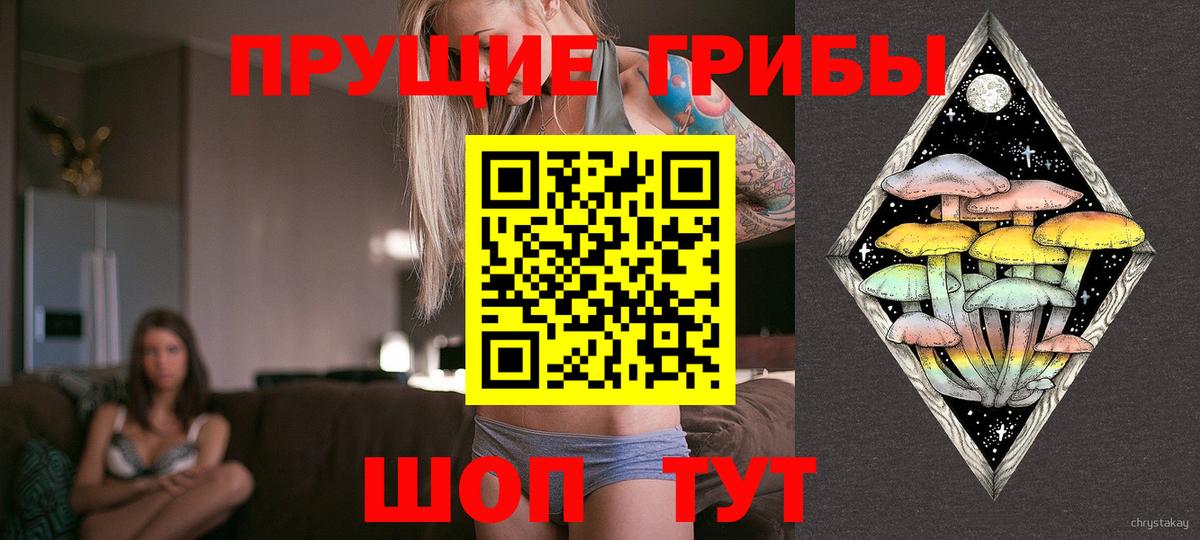 Галлюциногенные грибы Psilocybine cubensis  Псилоцибиновые грибы Magic Shrooms  Вход с VPN  Югорск 