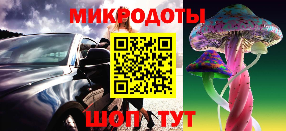 Псилоцибиновые грибы Psilocybine cubensis Югорск